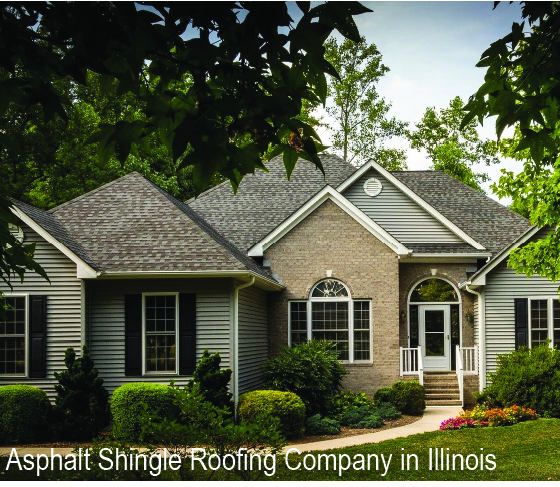 Architectural Asphalt Shingle Roofing Company in Elgin, IL