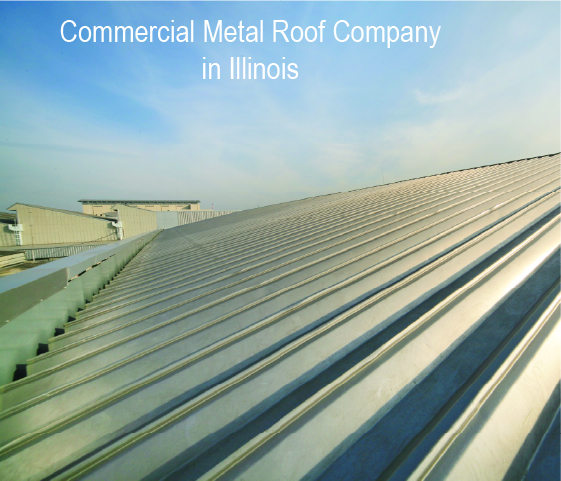 Commercial Metal Roof Company in Illinois